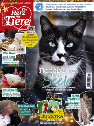 Ein Herz für Tiere
