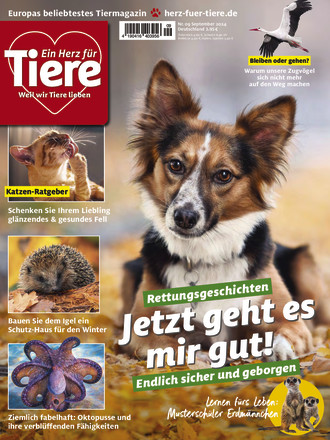 Ein Herz für Tiere - ePaper