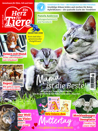 Ein Herz für Tiere
