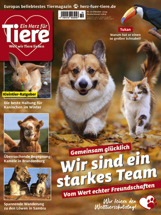 Ein Herz für Tiere