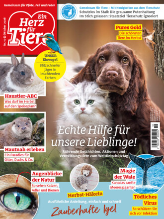 Ein Herz für Tiere