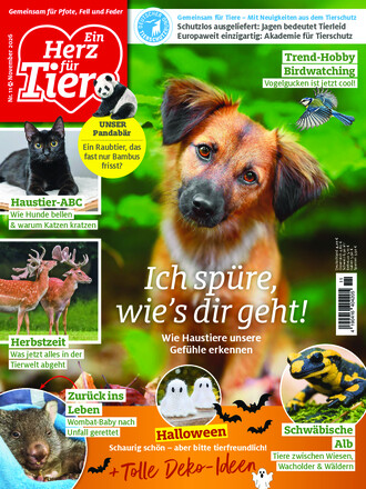 Ein Herz für Tiere