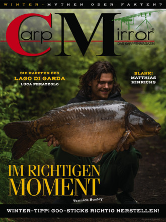 CarpMirror