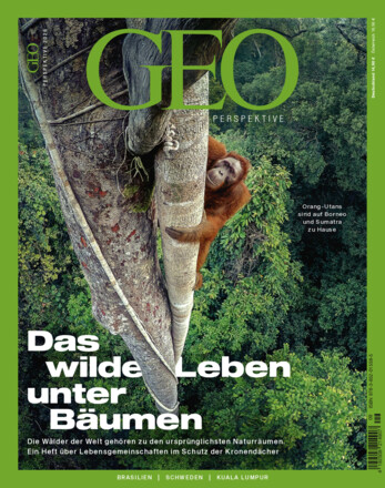 GEO Perspektive