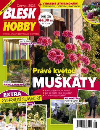 Blesk Hobby