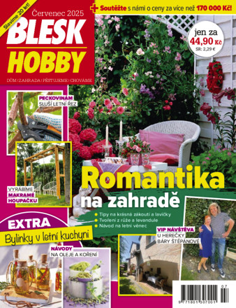 Blesk Hobby