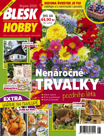 Blesk Hobby