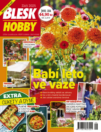 Blesk Hobby