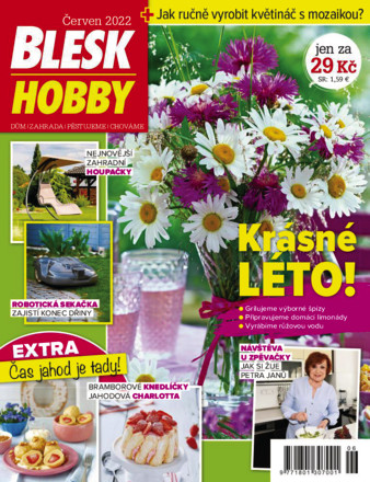 Blesk Hobby