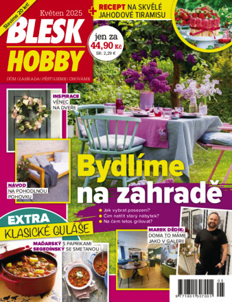 Blesk Hobby