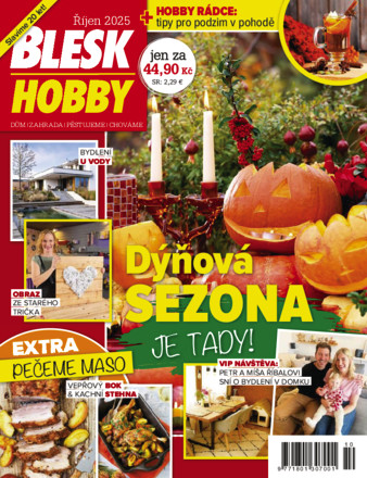 Blesk Hobby - ePaper