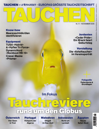 TAUCHEN