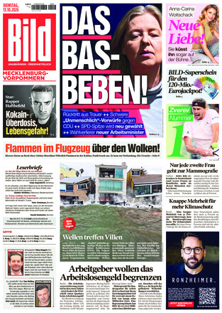 BILD Mecklenburg