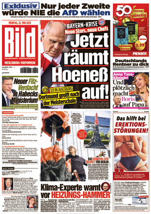 BILD Mecklenburg