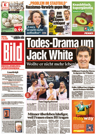BILD Mecklenburg - ePaper