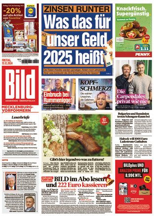 BILD Mecklenburg - ePaper