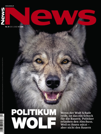 NEWS