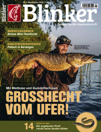 Blinker