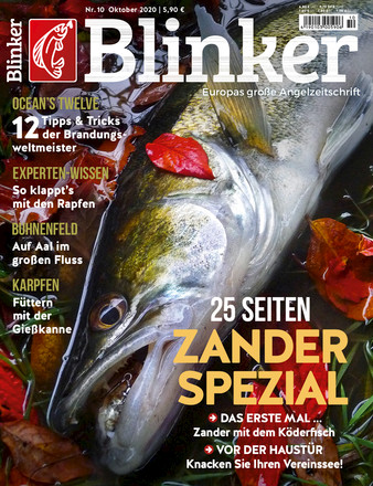 Blinker - ePaper;