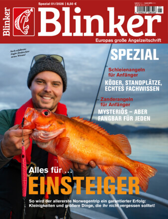 Blinker