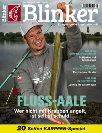 Blinker