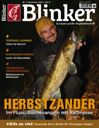 Blinker