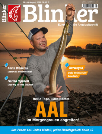Blinker