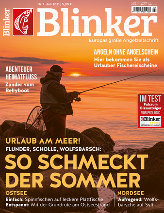 Blinker - ePaper;