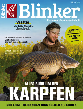Blinker - ePaper