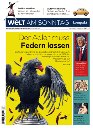 WELT AM SONNTAG Kompakt