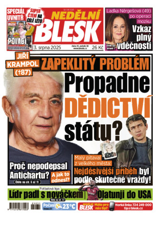 Nedělní Blesk