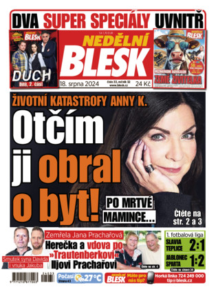 Nedělní Blesk - ePaper