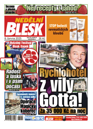 Nedělní Blesk