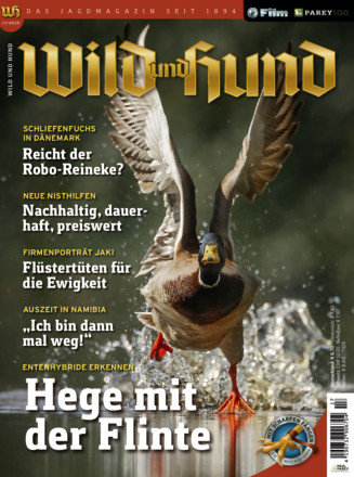 Wild und Hund