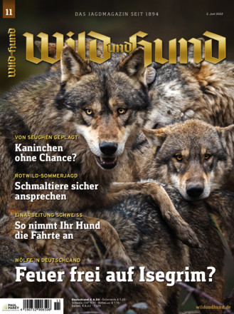 Wild und Hund - ePaper;