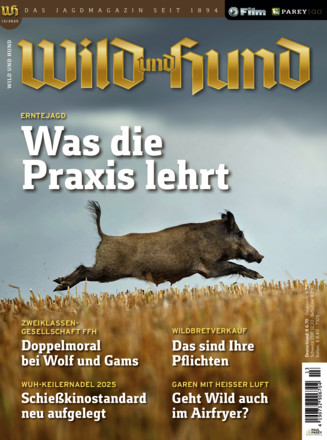 Wild und Hund