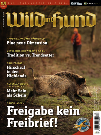 Wild und Hund