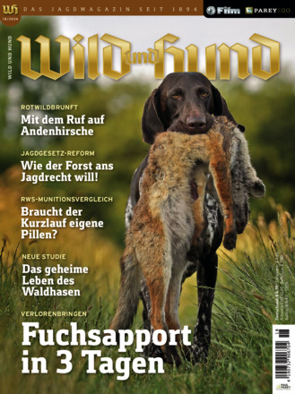 Wild und Hund