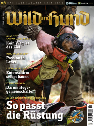 Wild und Hund