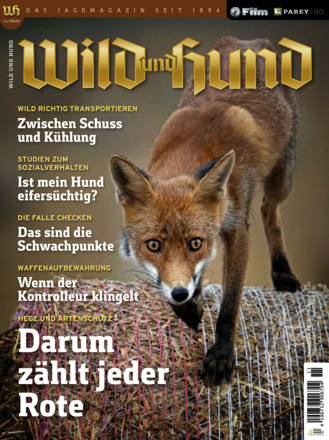 Wild und Hund