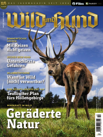 Wild und Hund