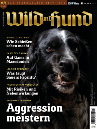Wild und Hund