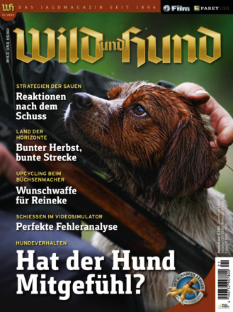 Wild und Hund