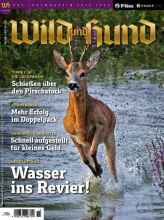 Wild und Hund