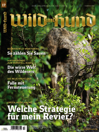 Wild und Hund