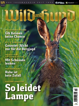 Wild und Hund