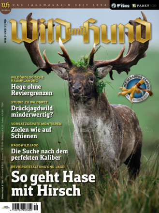 Wild und Hund