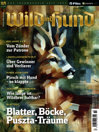 Wild und Hund