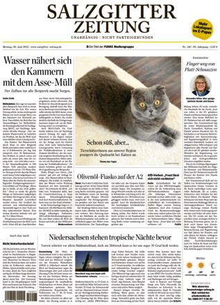 Salzgitter Zeitung