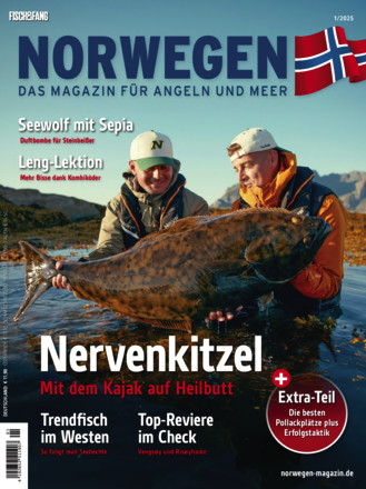 Norwegen Magazin